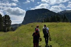 IMG-20250730-WA0047